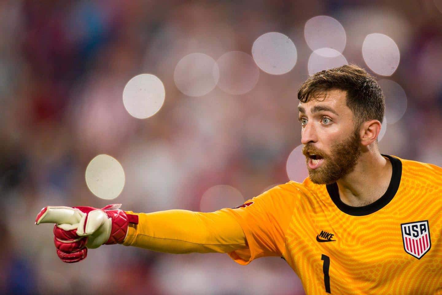 เลโน่-เทอร์เนอร์