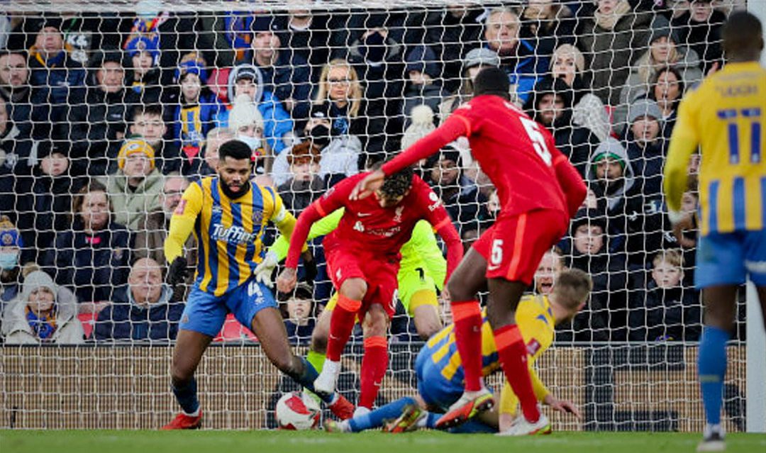 ฟีร์มิโน่