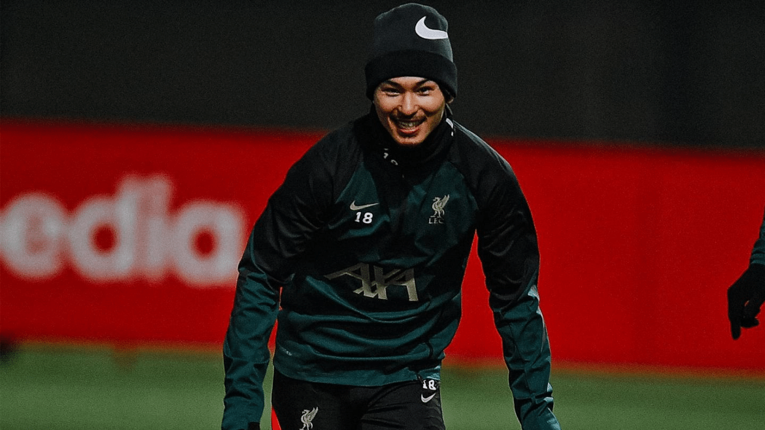 มินามิโนะ