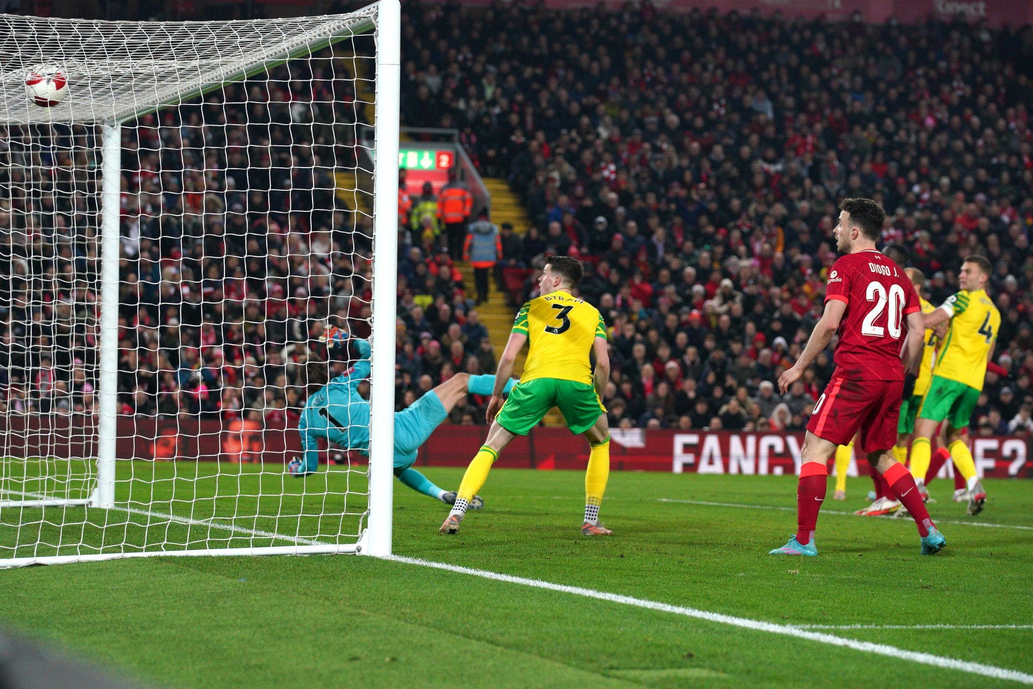 มินามิโนะ