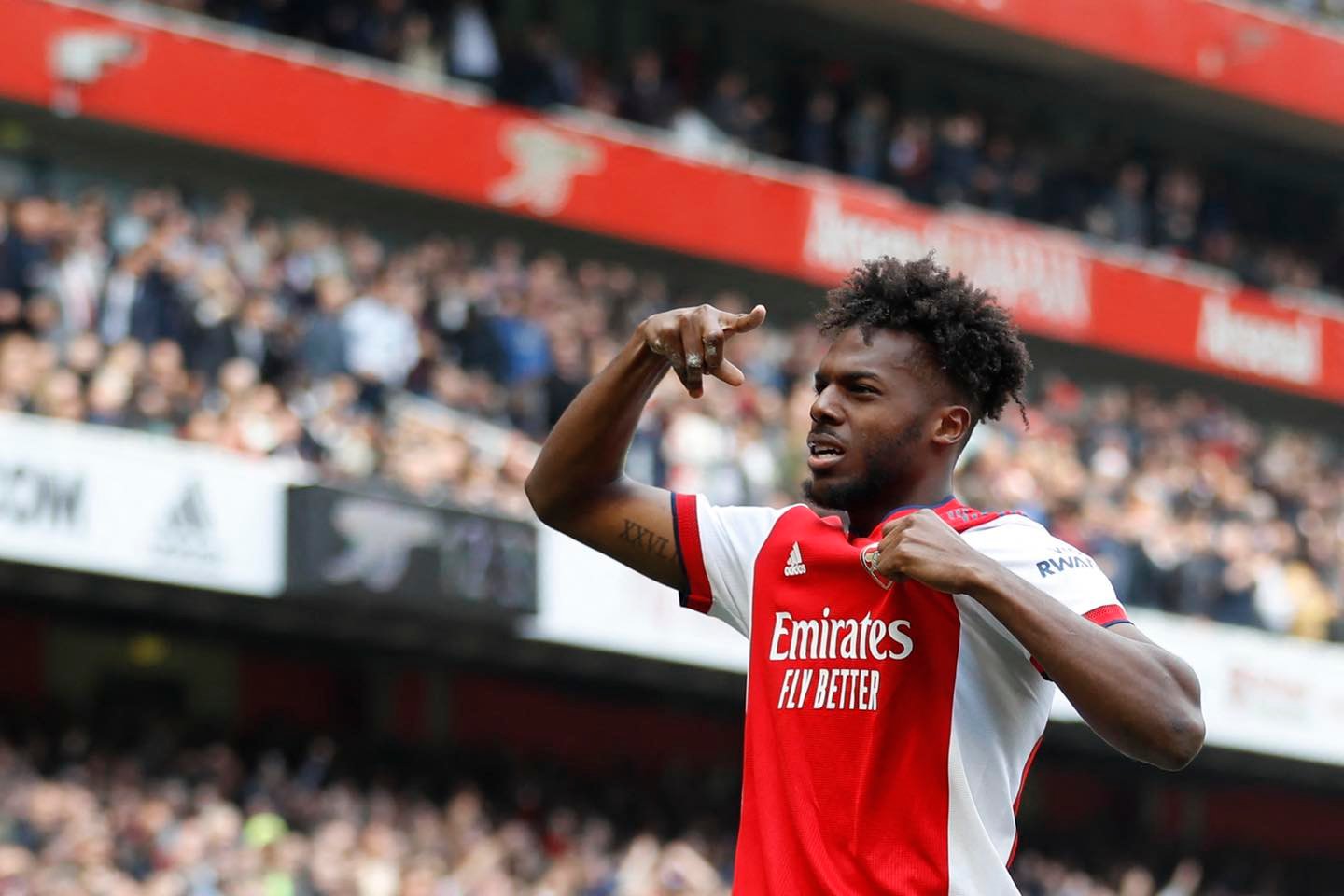 ตาวาเรส