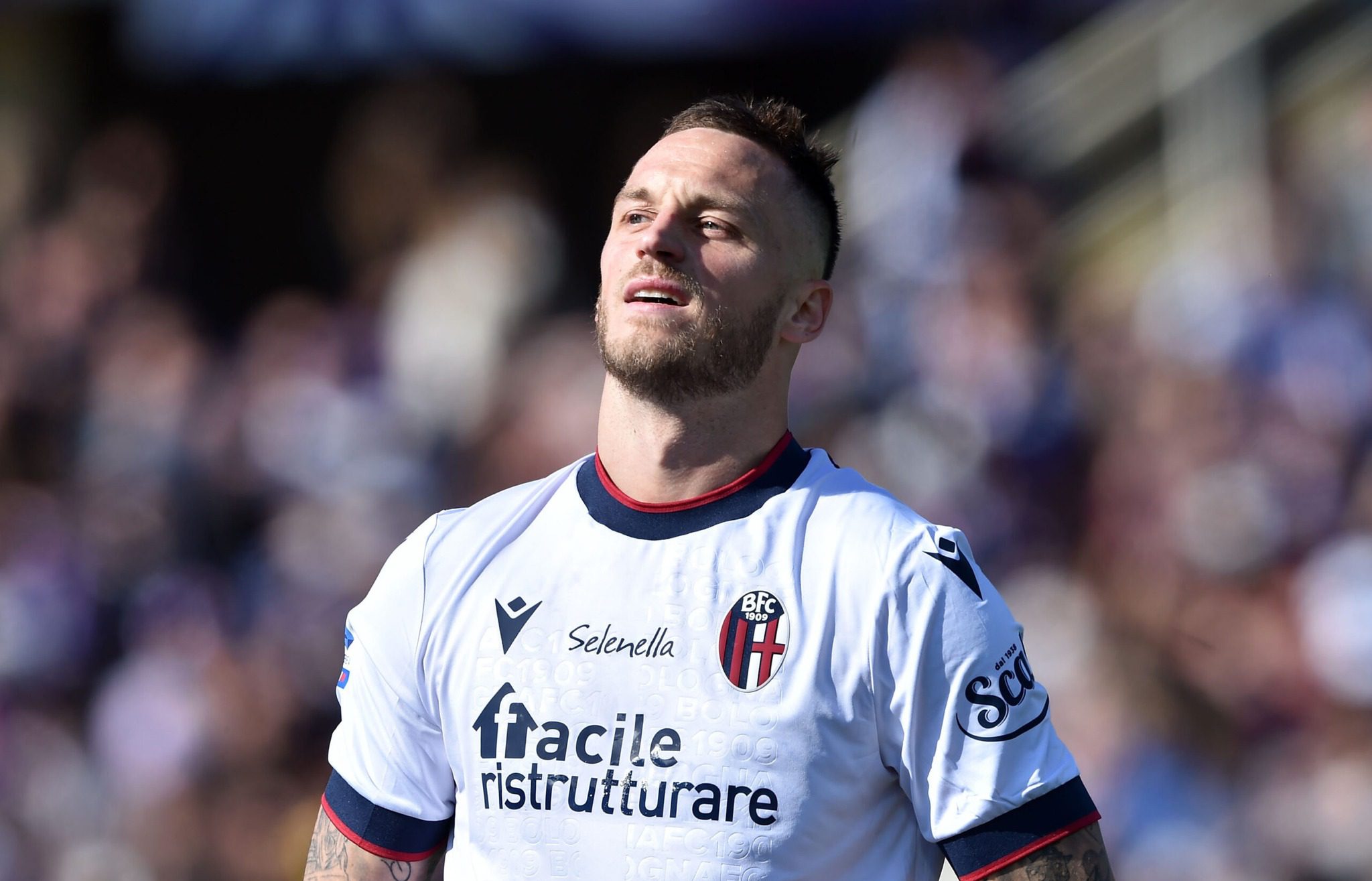 อาร์เนาโตวิช