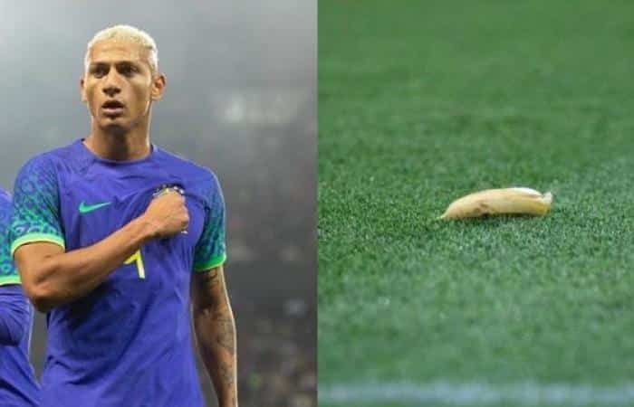 ริชาร์ลิซอน